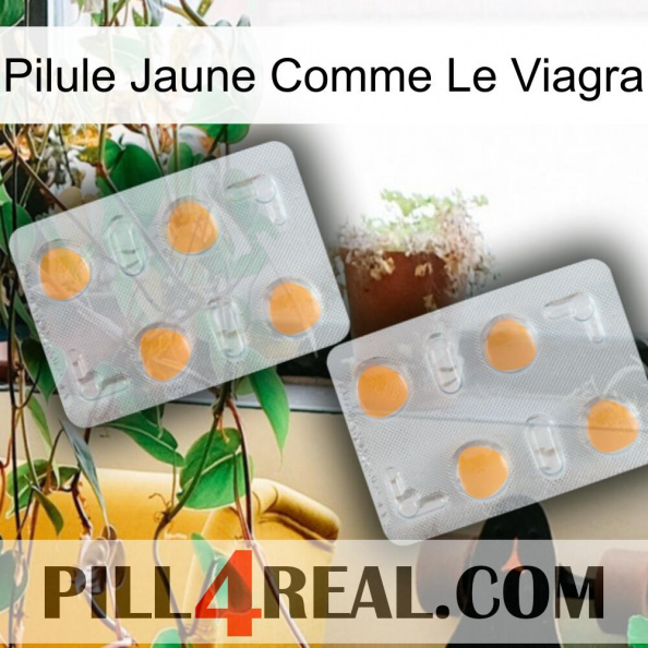 Yellow Pill Like Viagra 25.jpg